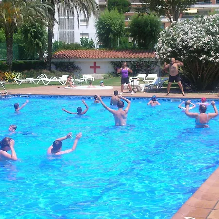 酒店 桑巴酒店 3*